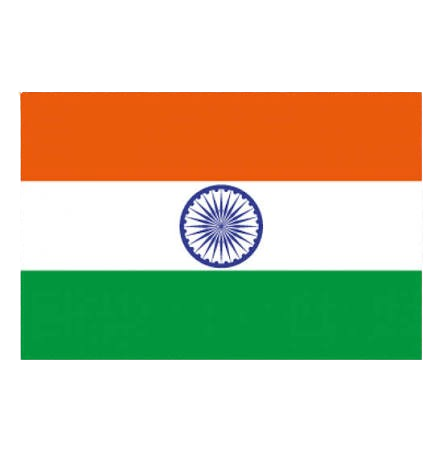 Made in India